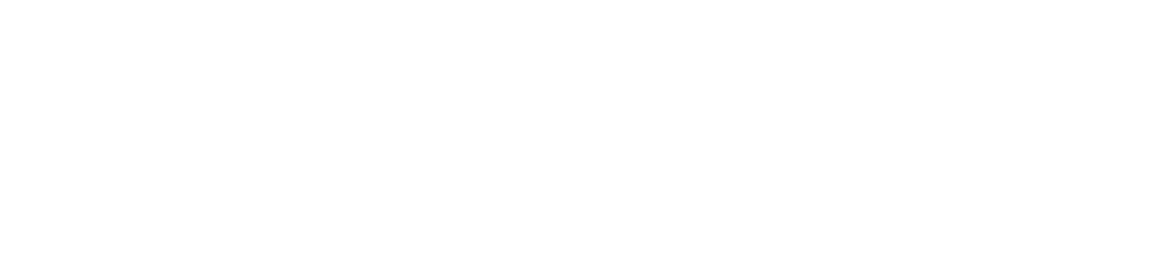 BADGR Logo Completa
